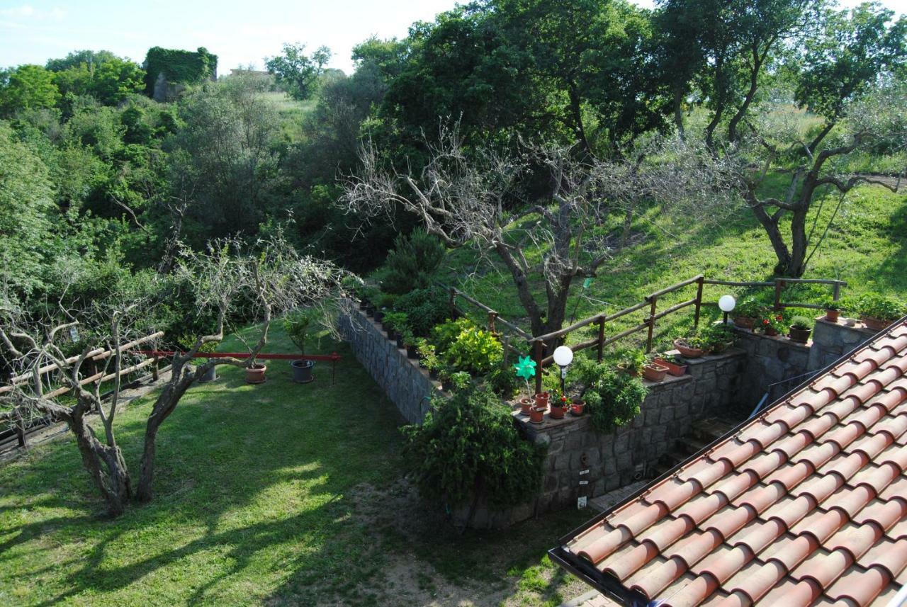 Villa Farfalla Bianca Vitorchiano Bagian luar foto
