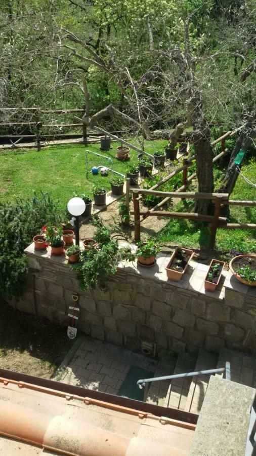 Villa Farfalla Bianca Vitorchiano Bagian luar foto
