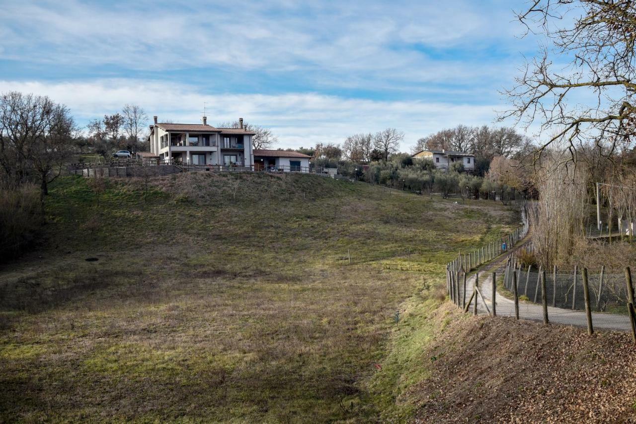 Villa Farfalla Bianca Vitorchiano Bagian luar foto