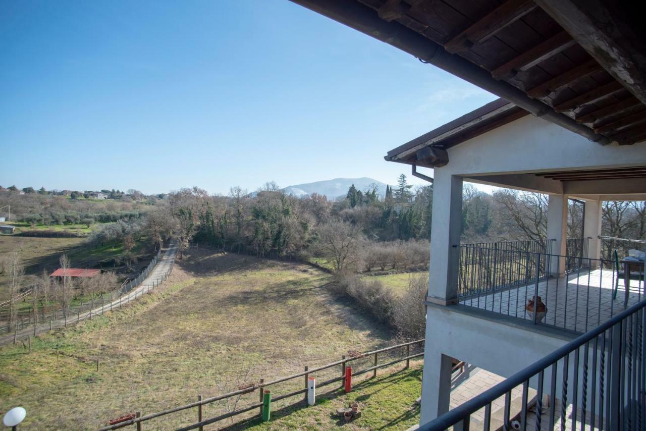 Villa Farfalla Bianca Vitorchiano Bagian luar foto